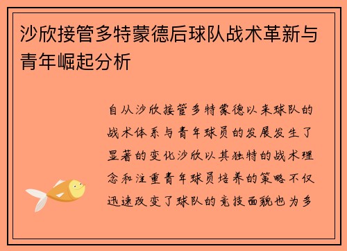 沙欣接管多特蒙德后球队战术革新与青年崛起分析
